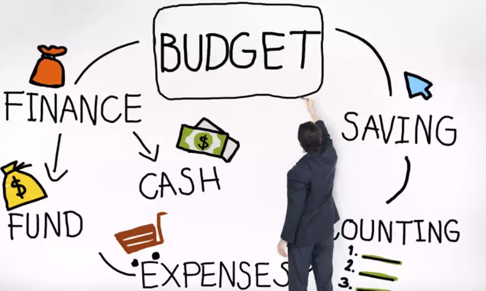 Budget and Financial Capability