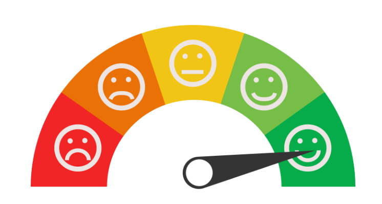 What is the Customer Satisfaction Score?